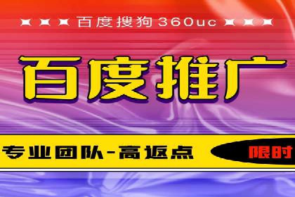百度竞价包年服务：某行业领导品牌的成功故事
